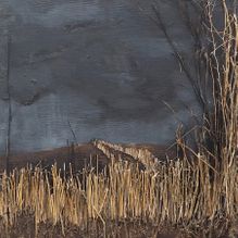 Over the hill, 82x135cm, Oil, earth and branches on  woodpanel, 2020